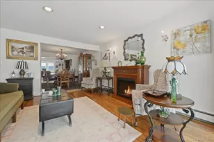 244 Mercury St, East Meadow, NY 11554 - Photo 13