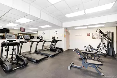 200 High Point Drive #214, Hartsdale, NY 10530 - Photo 37