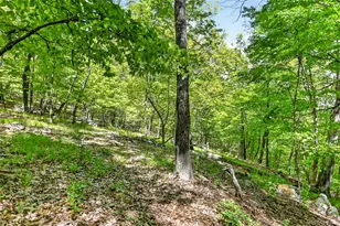 372 Bramertown Rd, Tuxedo Park, NY 10987 - Photo 13