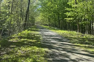 176 Mountaindale Main St, Mountain Dale, NY 12763 - Photo 21