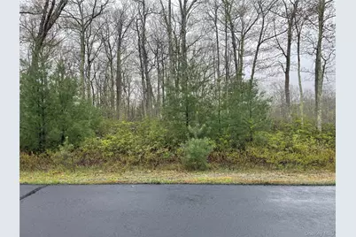 Lot # 20 Pine Lake Drive, Wurtsboro, NY 12790 - Photo 5