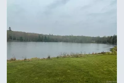 Lot # 20 Pine Lake Drive, Wurtsboro, NY 12790 - Photo 3