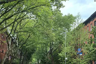 185 Bergen St, Brooklyn, NY 11217 - Photo 3