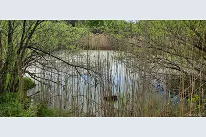 207 Cardinal Road, Hyde Park, NY 12538 - Photo 9