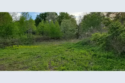207 Cardinal Road, Hyde Park, NY 12538 - Photo 3