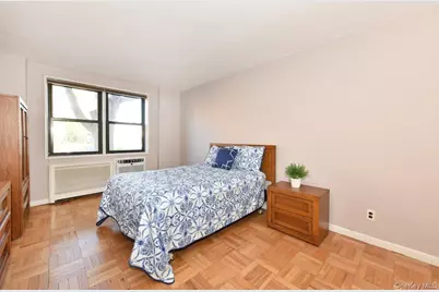 4 Birchwood Court #1N, Mineola, NY 11501 - Photo 9