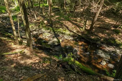 128 Sawmill Road, Red Hook, NY 12571 - Photo 39