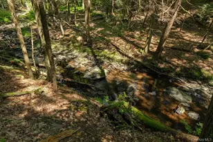 128 Sawmill Rd, Red Hook, NY 12571 - Photo 39
