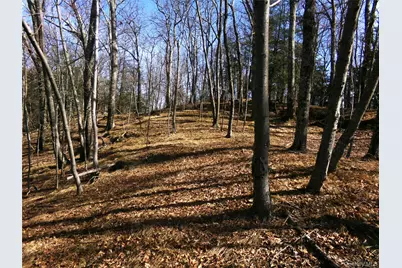 303 Hicks Hill Road, Stanford, NY 12582 - Photo 37