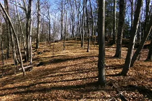 303 Hicks Hill Rd, Stanford, NY 12582 - Photo 37