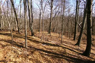 303 Hicks Hill Rd, Stanford, NY 12582 - Photo 41