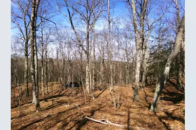 303 Hicks Hill Road, Stanford, NY 12582 - Photo 39