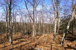 303 Hicks Hill Rd, Stanford, NY 12582 - Photo 39