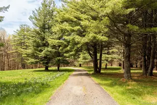 41 Chicory Ln, Austerlitz, NY 12017 - Photo 5