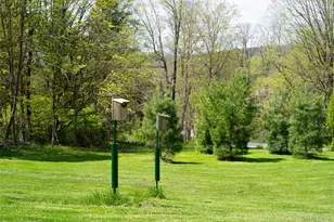 303 Mt Ross Rd, Pine Plains, NY 12567 - Photo 5