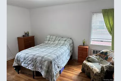 171 Locust Street, Floral Park, NY 11001 - Photo 9