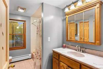 25 Albany Street, Deer Park, NY 11729 - Photo 17