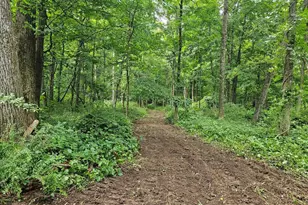 218 Route 27, Rockville Centre, NY 12423 - Photo 25
