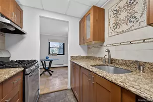 100 Clinton Ave, Mineola, NY 11501 - Photo 11