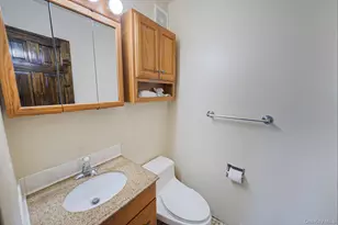 16 Carston St, Selden, NY 11784 - Photo 21