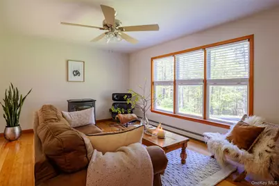 1380 Lucas Avenue Extension, Cottekill, NY 12419 - Photo 7