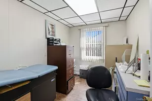 4169 Iris Pl, Bethpage, NY 11714 - Photo 13