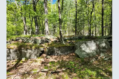 Tbd Upper Samsonville Road, Olivebridge, NY 12461 - Photo 13