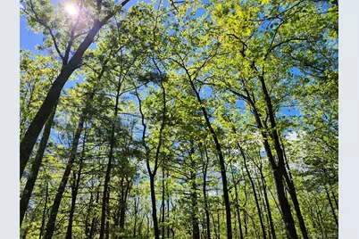 Tbd Upper Samsonville Road, Olivebridge, NY 12461 - Photo 15