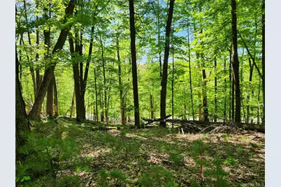 Tbd Upper Samsonville Road, Olivebridge, NY 12461 - Photo 3