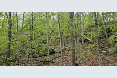 Lot 23.21 State Route 97, Narrowsburg, NY 12764 - Photo 15
