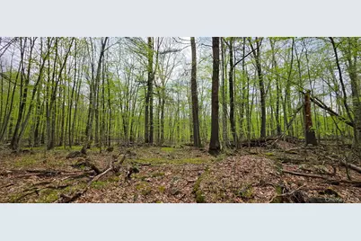 Lot 23.21 State Route 97, Narrowsburg, NY 12764 - Photo 19