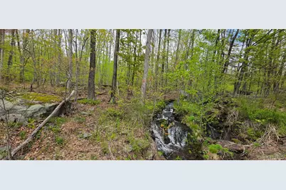 Lot 23.21 State Route 97, Narrowsburg, NY 12764 - Photo 23