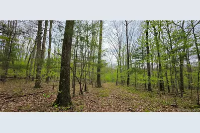 Lot 23.21 State Route 97, Narrowsburg, NY 12764 - Photo 21