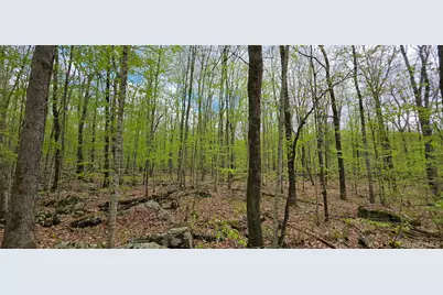 Lot 23.21 State Route 97, Narrowsburg, NY 12764 - Photo 11