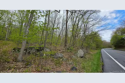 Lot 23.21 State Route 97, Narrowsburg, NY 12764 - Photo 3