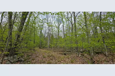 Lot 23.21 State Route 97, Narrowsburg, NY 12764 - Photo 5