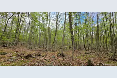Lot 23.21 State Route 97, Narrowsburg, NY 12764 - Photo 13