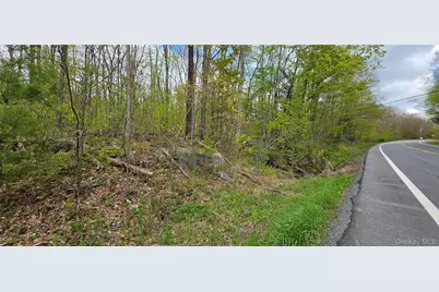 Lot 23.21 State Route 97, Narrowsburg, NY 12764 - Photo 27