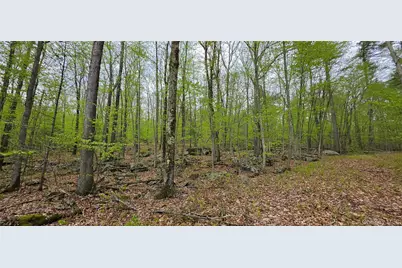 Lot 23.21 State Route 97, Narrowsburg, NY 12764 - Photo 7