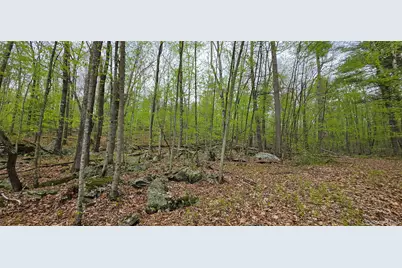 Lot 23.21 State Route 97, Narrowsburg, NY 12764 - Photo 9