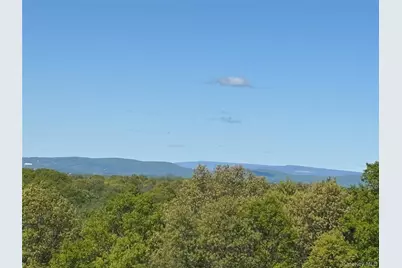 115 N Smith Road, Lagrangeville, NY 12540 - Photo 49