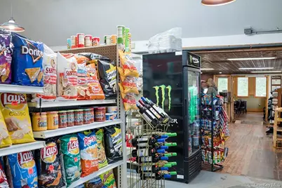 1293 Main Street, Fleischmanns, NY 12430 - Photo 11