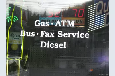 1293 Main Street, Fleischmanns, NY 12430 - Photo 3