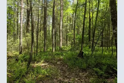 Haring Road, Glen Spey, NY 12737 - Photo 1