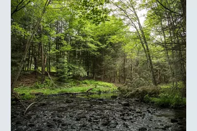 Lot 4 Chapin Trail, Bethel, NY 12720 - Photo 1