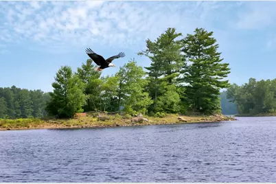 Whispering Woods Drive, Mongaup Valley, NY 12762 - Photo 1