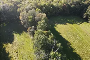 114 Levine Rd, Monticello, NY 12701 - Photo 15