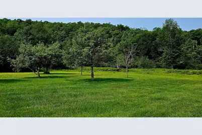 141 Bonnie Brook Road, Roscoe, NY 12776 - Photo 45