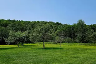 141 Bonnie Brook Rd, Roscoe, NY 12776 - Photo 45