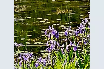 141 Bonnie Brook Road, Roscoe, NY 12776 - Photo 7